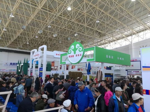 第十三屆中俄蒙經貿洽談暨商品展銷會圓滿落幕，俄蒙展廳現場火爆彰顯區域合作新活力