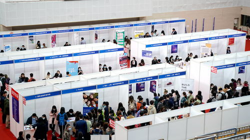 搭建橋梁，助力夢(mèng)想 上外國(guó)際金融貿(mào)易學(xué)院2021年就業(yè)實(shí)習(xí)專(zhuān)場(chǎng)雙選會(huì)成功舉辦